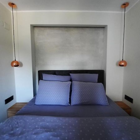 Apartment Pleasure Lux Νόβι Σαντ Εξωτερικό φωτογραφία