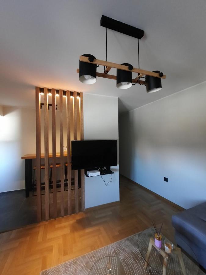 Apartment Pleasure Lux Νόβι Σαντ Εξωτερικό φωτογραφία
