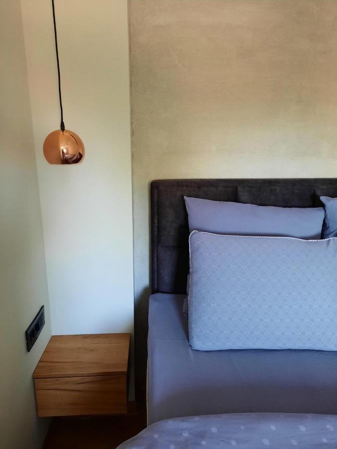 Apartment Pleasure Lux Νόβι Σαντ Εξωτερικό φωτογραφία