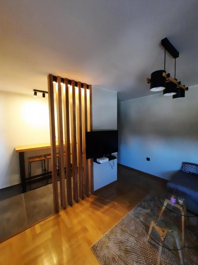 Apartment Pleasure Lux Νόβι Σαντ Εξωτερικό φωτογραφία